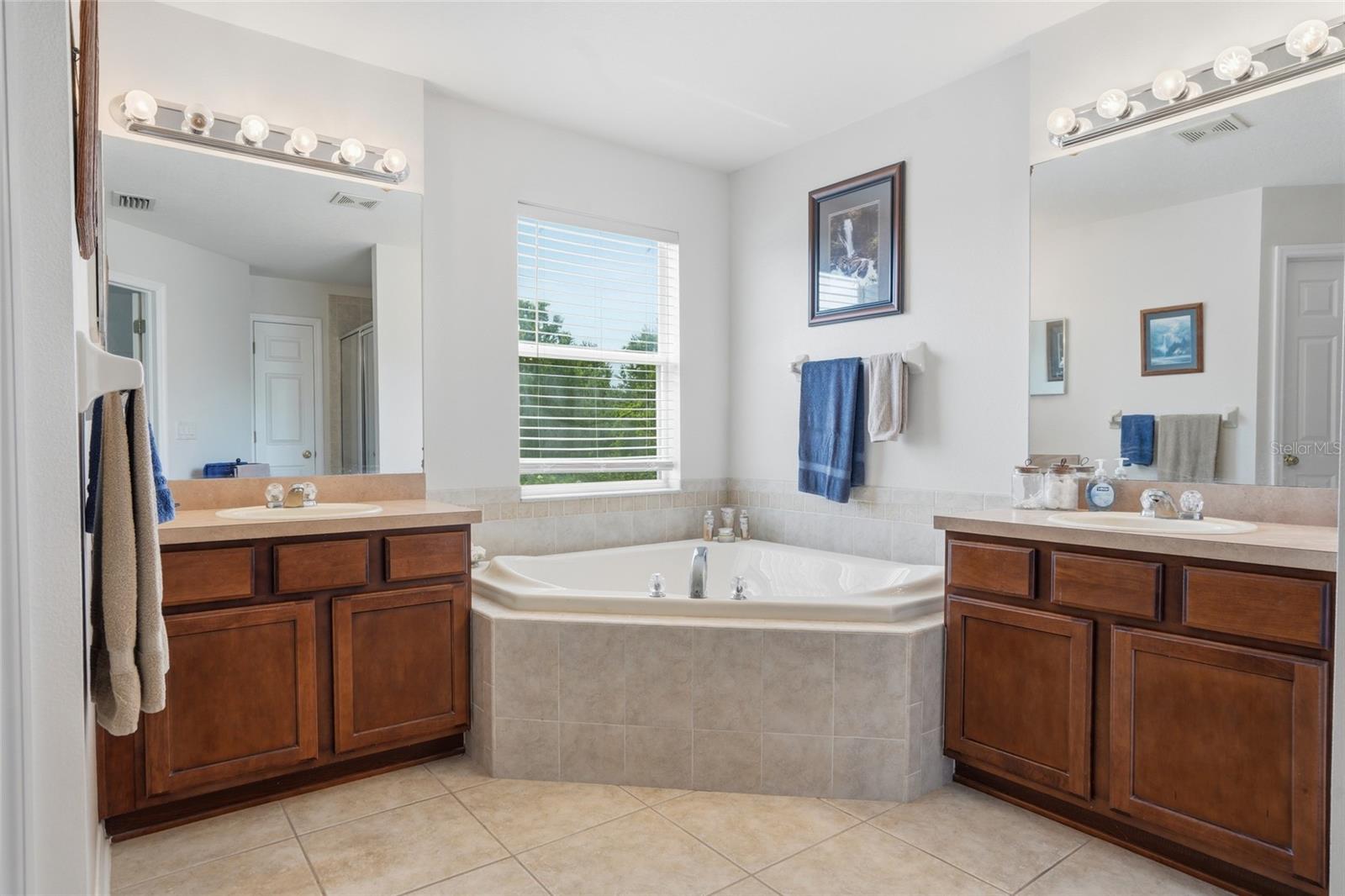 9643 ASBEL ESTATES ST, LAND O LAKES, FL, 34638