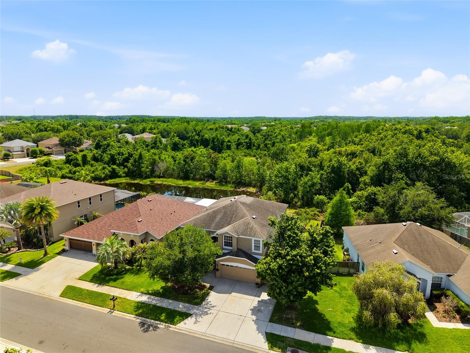 9643 ASBEL ESTATES ST, LAND O LAKES, FL, 34638