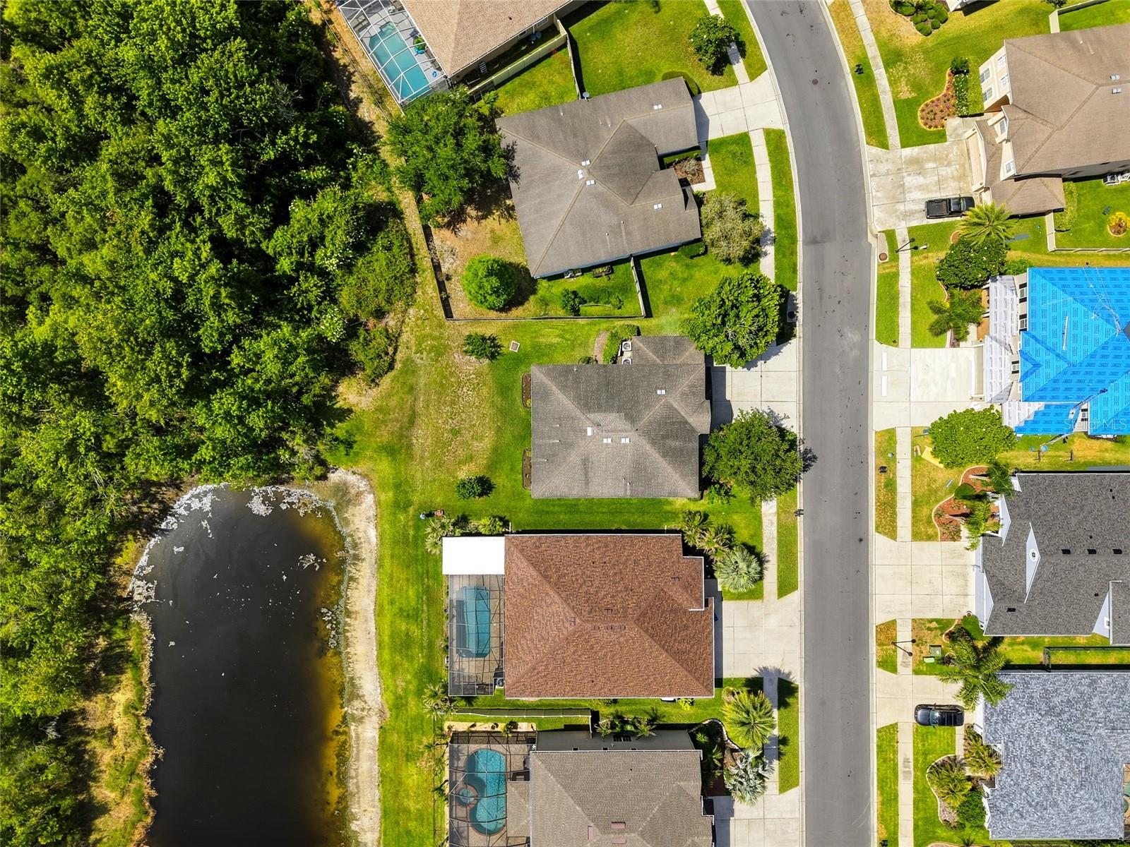 9643 ASBEL ESTATES ST, LAND O LAKES, FL, 34638