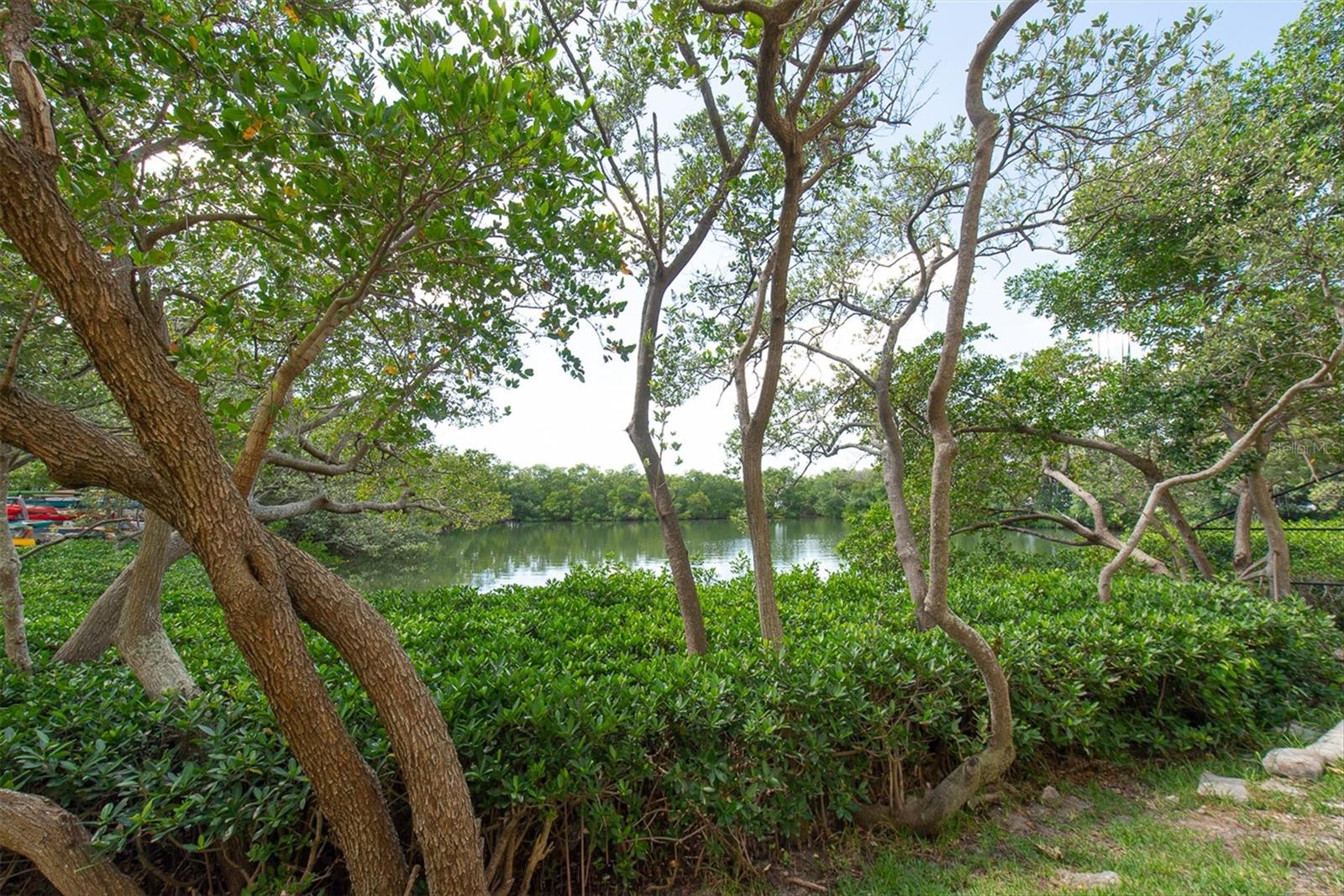 7050 SUNSET DR S #302, SOUTH PASADENA, FL, 33707
