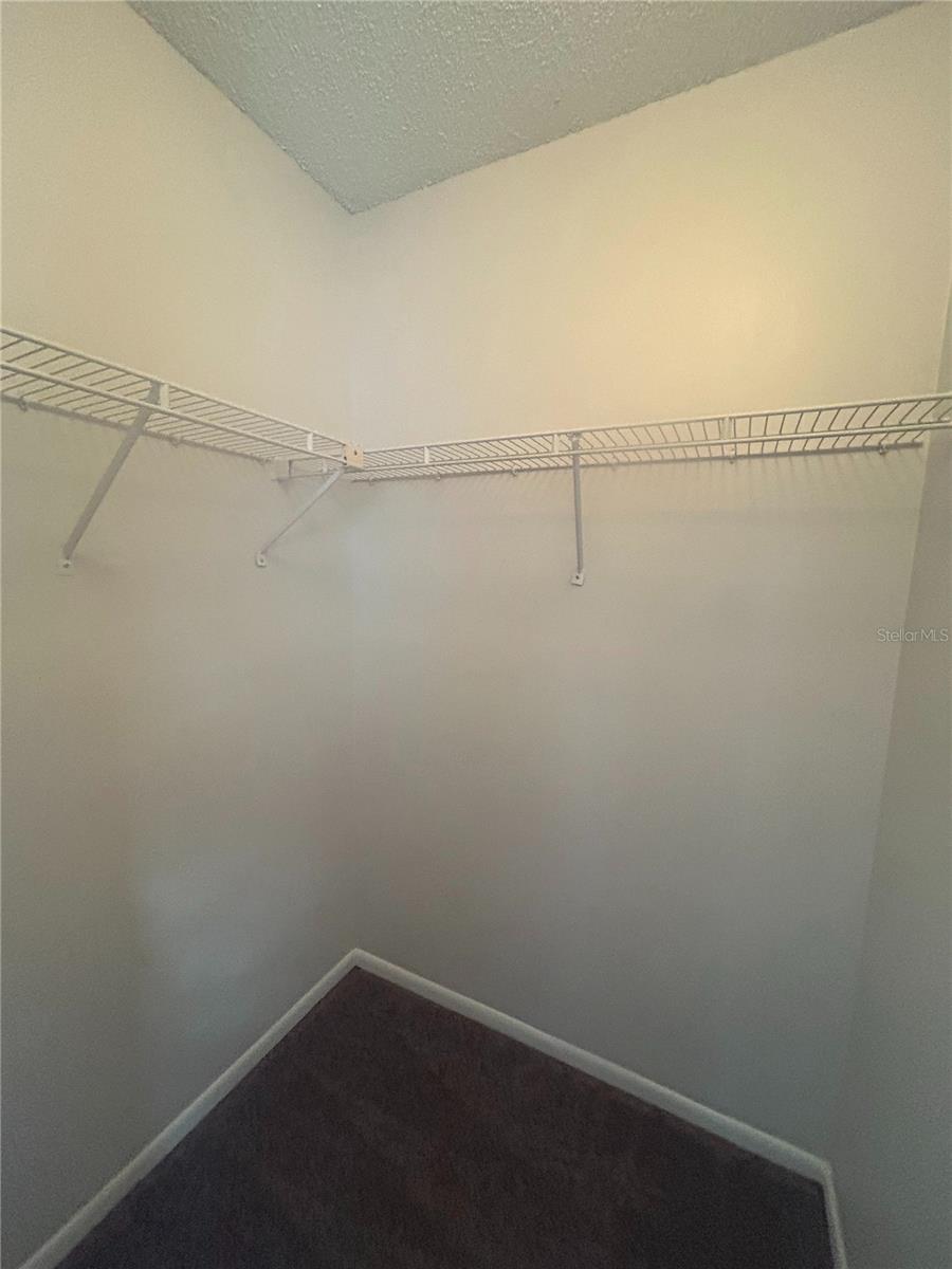 5224 FLORIDA HOLLY DR, ORLANDO, FL, 32811