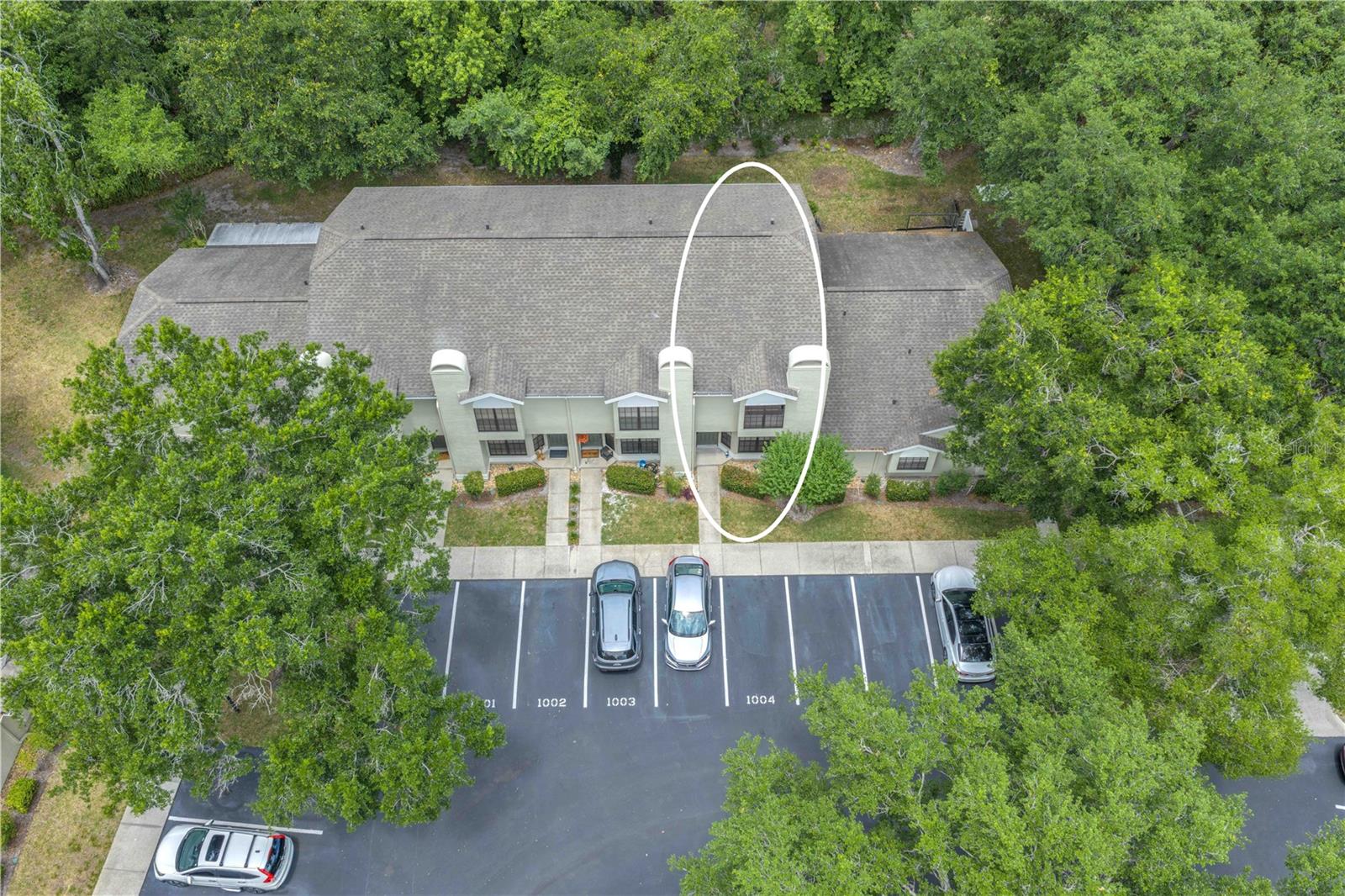 5100 BURCHETTE RD #1004, TAMPA, FL, 33647