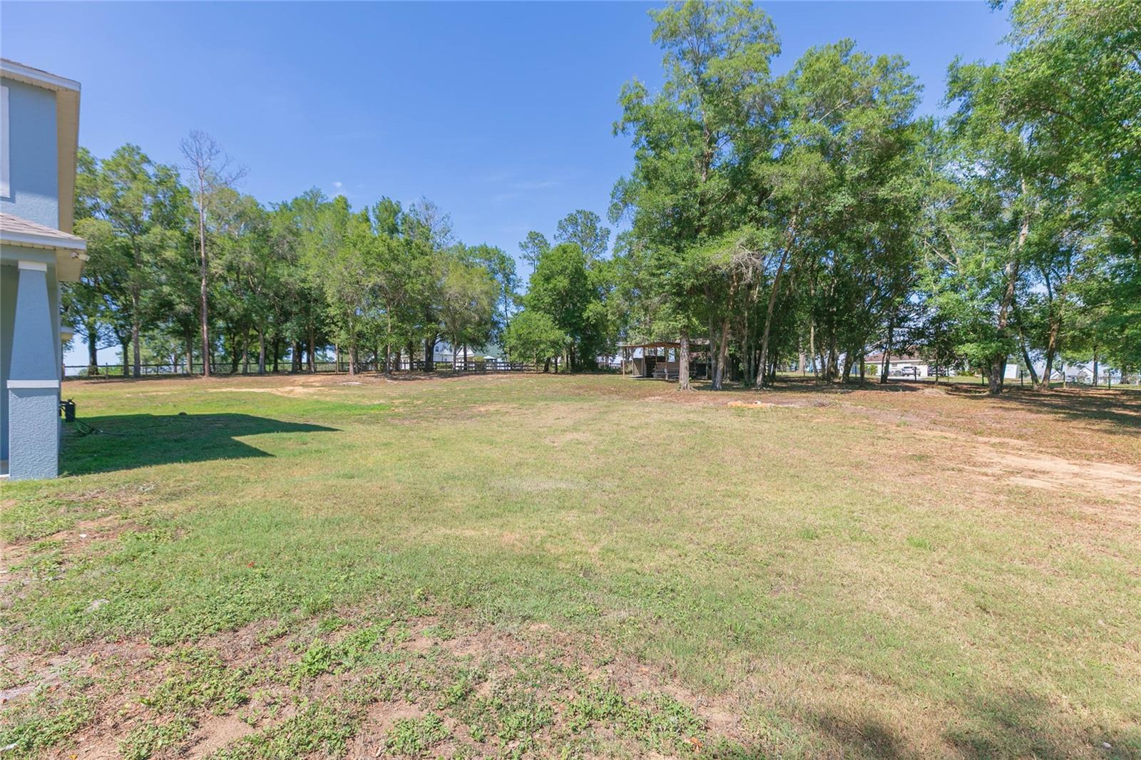 35369 RUFFING RD, DADE CITY, FL, 33523