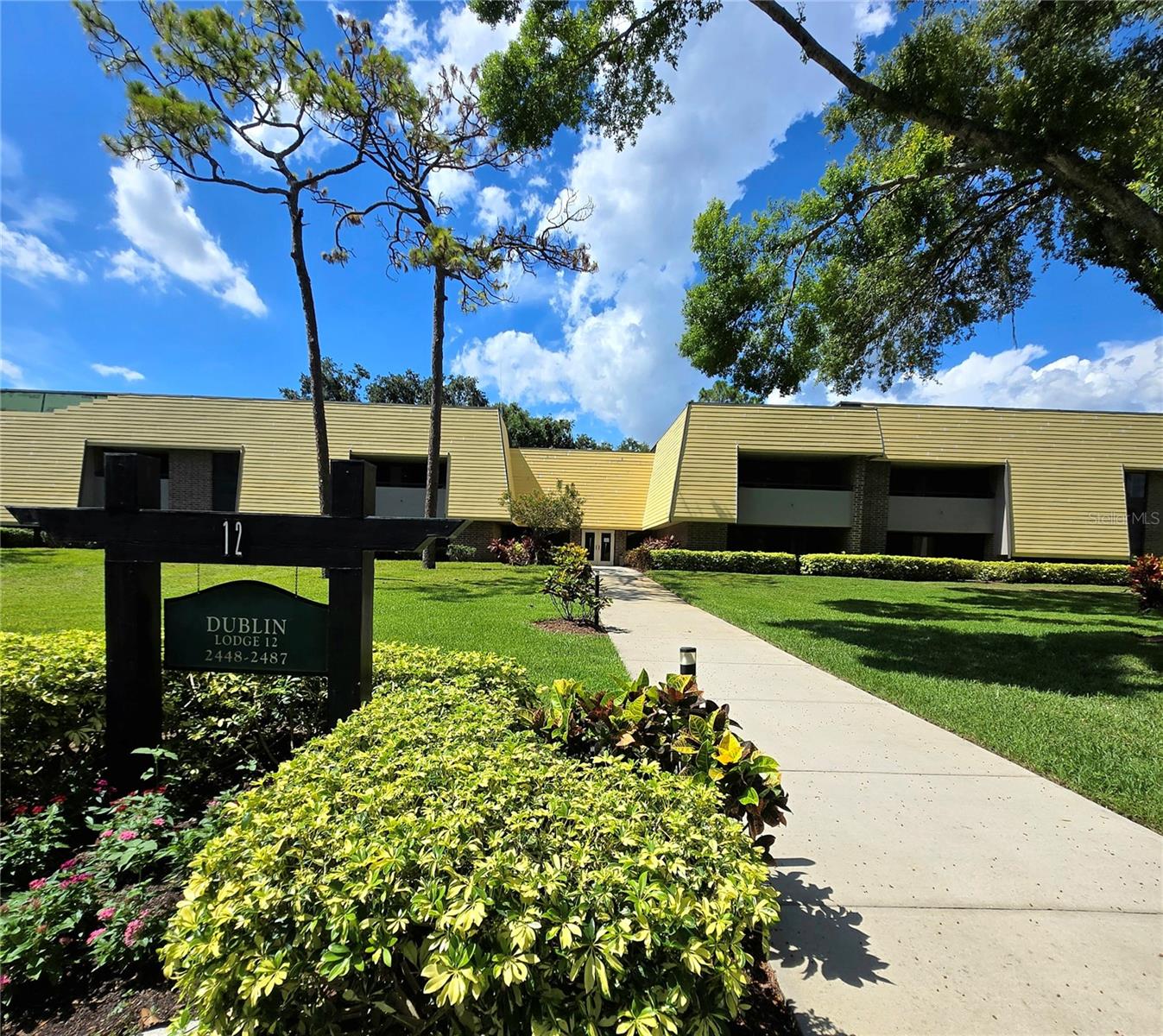 36750 US HIGHWAY 19 N #12-109, PALM HARBOR, FL, 34683