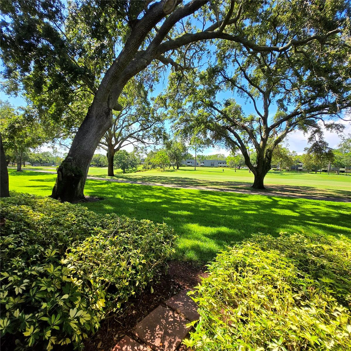 36750 US HIGHWAY 19 N #12-109, PALM HARBOR, FL, 34683