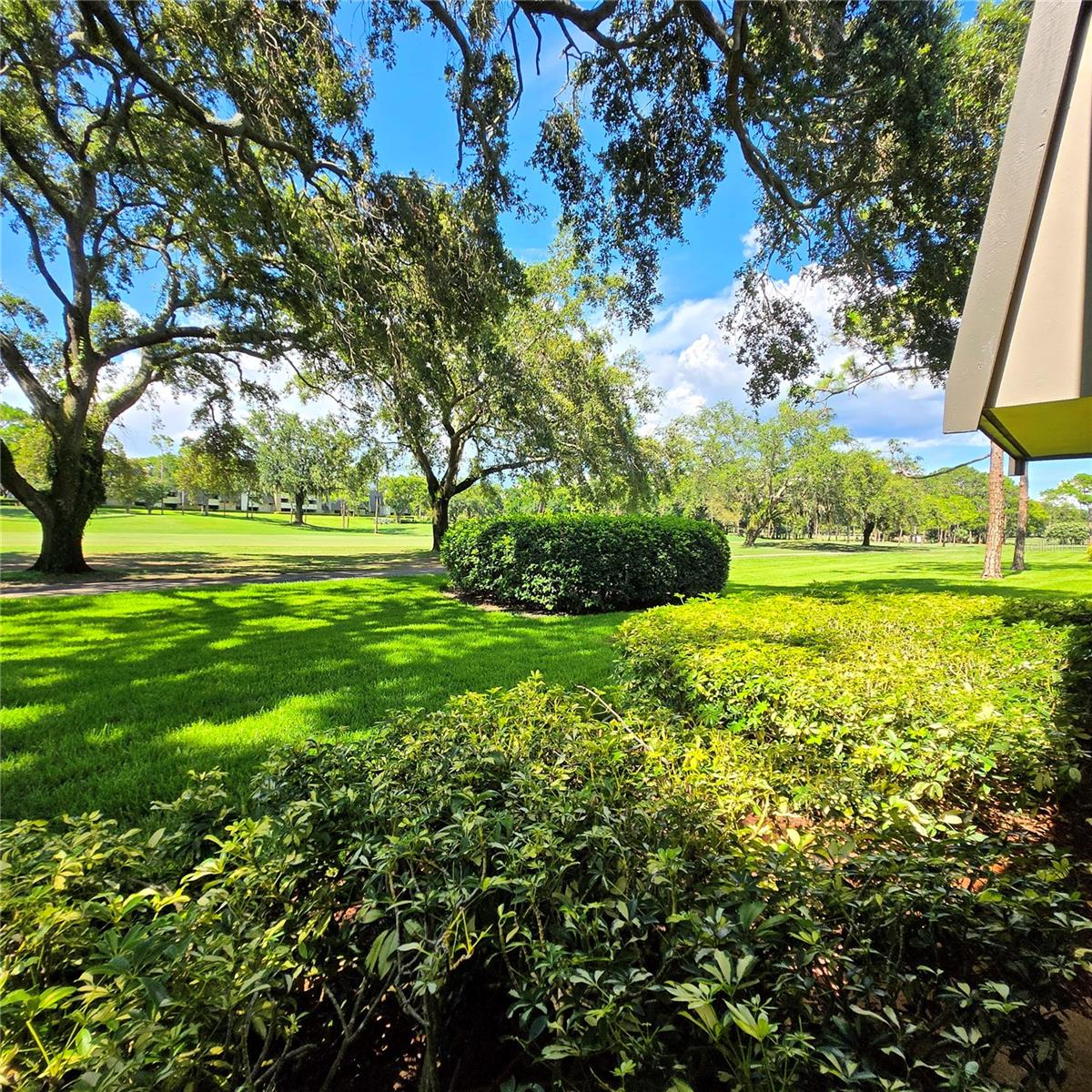 36750 US HIGHWAY 19 N #12-109, PALM HARBOR, FL, 34683