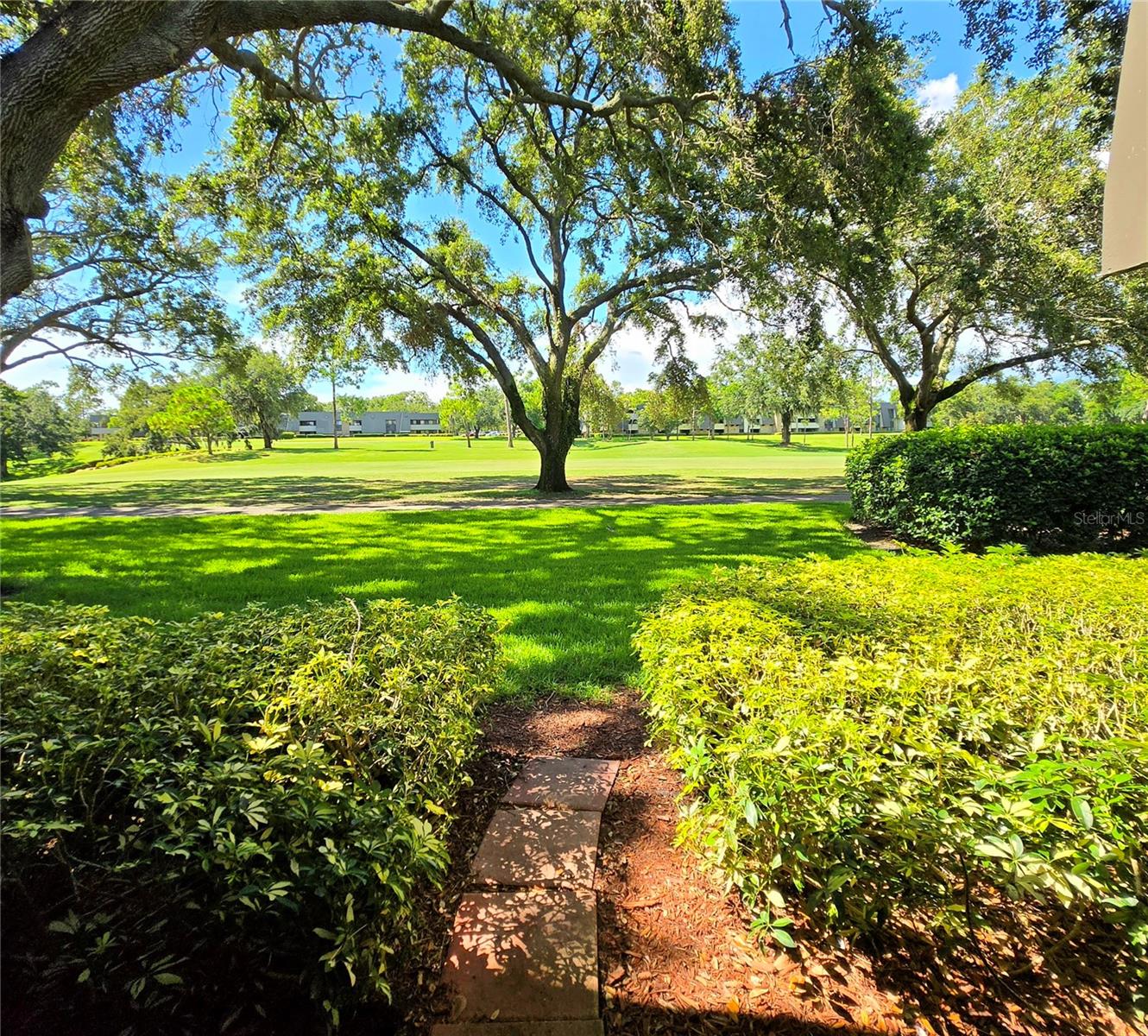 36750 US HIGHWAY 19 N #12-109, PALM HARBOR, FL, 34683