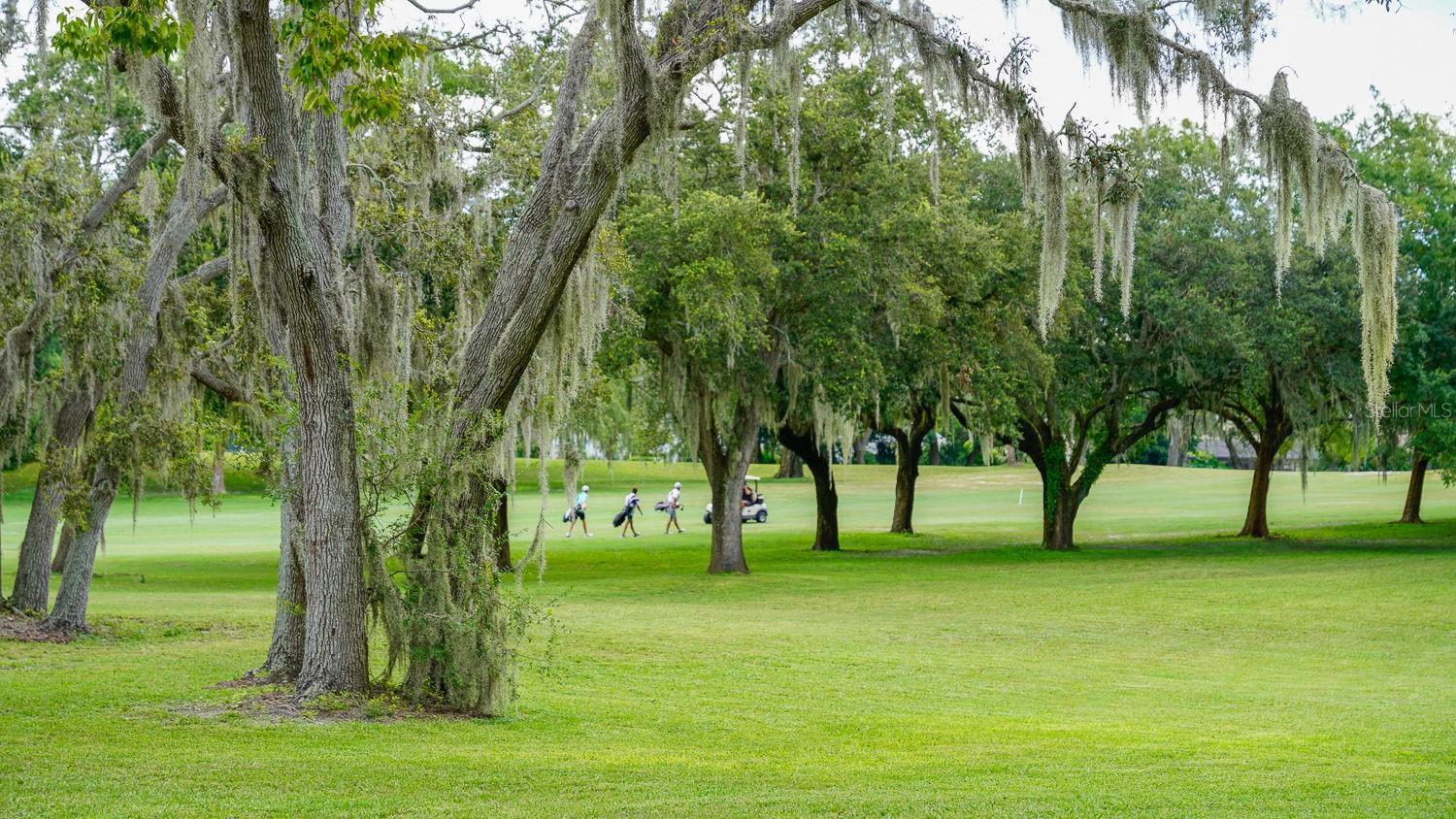 8141 GOLF CLUB CT, HUDSON, FL, 34667