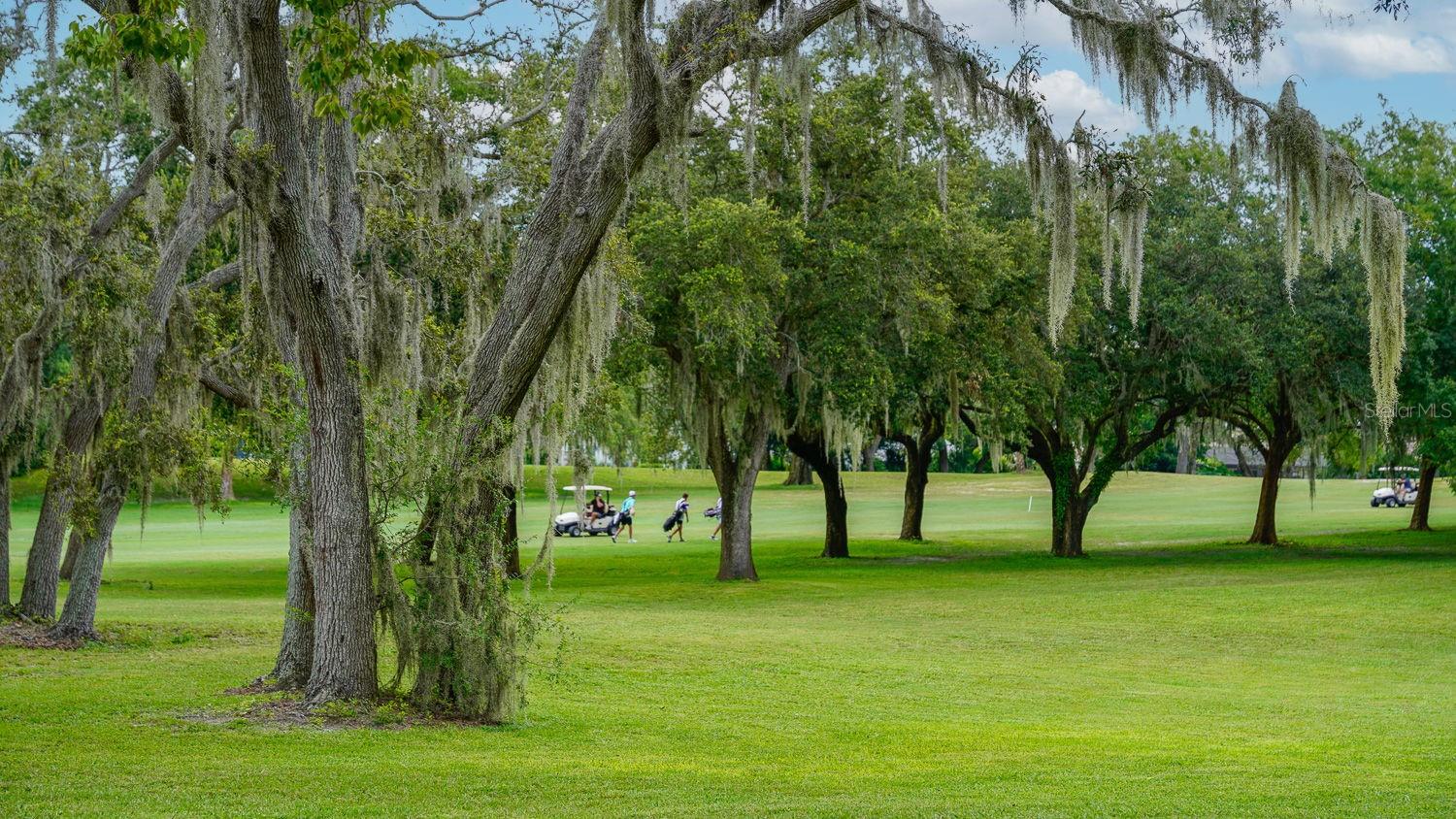 8141 GOLF CLUB CT, HUDSON, FL, 34667