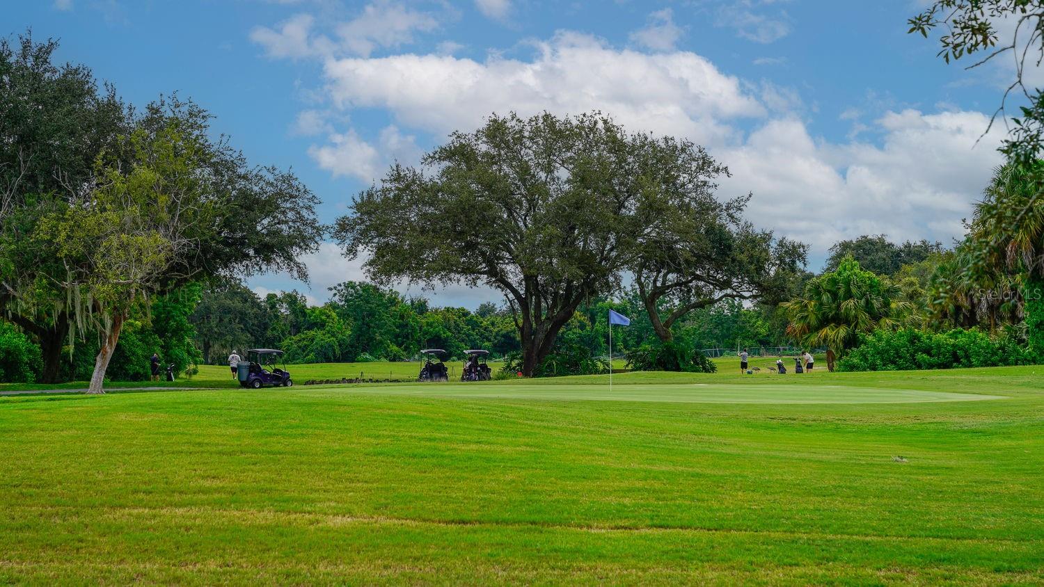 8141 GOLF CLUB CT, HUDSON, FL, 34667