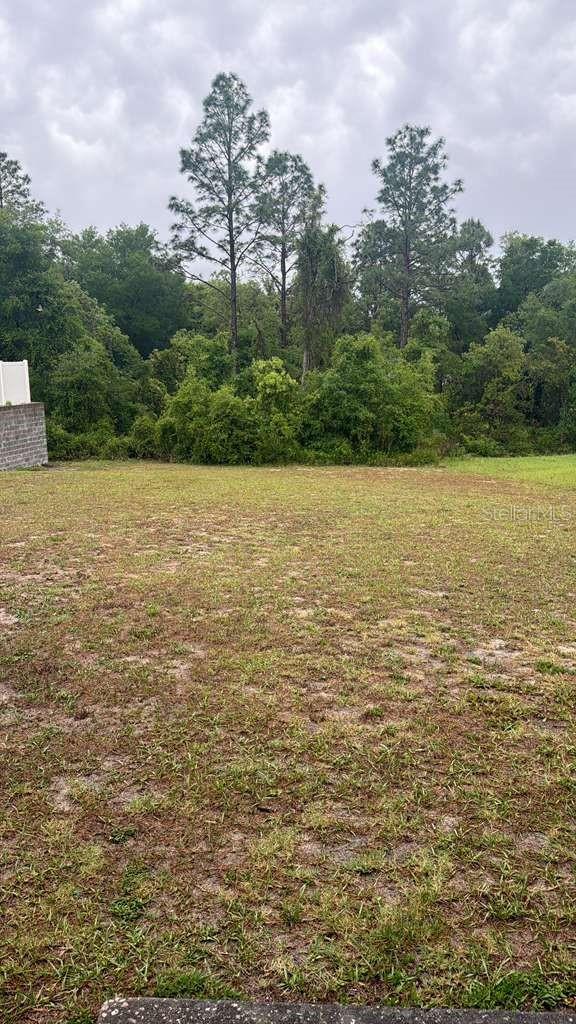 13371 SW 88TH TER, OCALA, FL, 34473