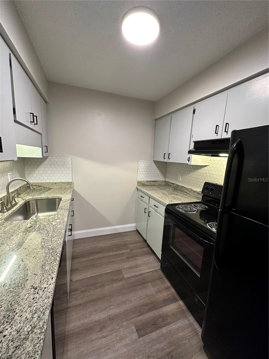 165 PICARDY VILLA CIR #202, BRANDON, FL, 33510