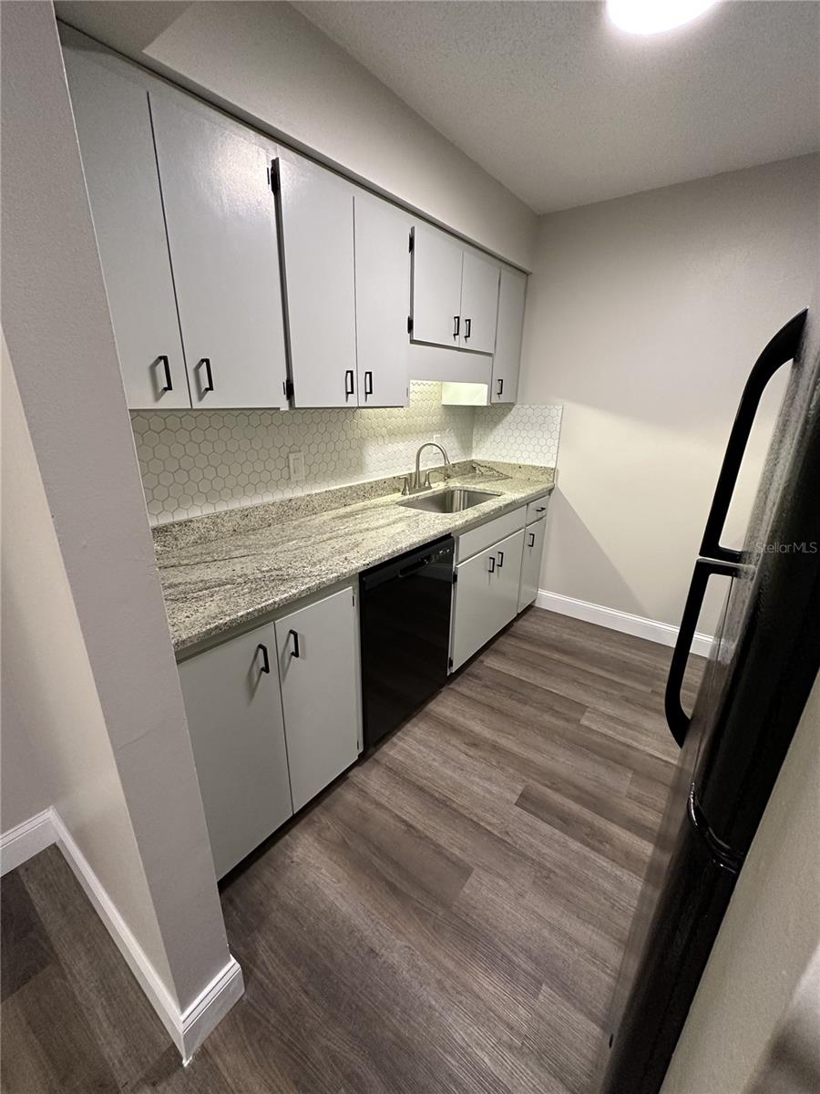 165 PICARDY VILLA CIR #202, BRANDON, FL, 33510