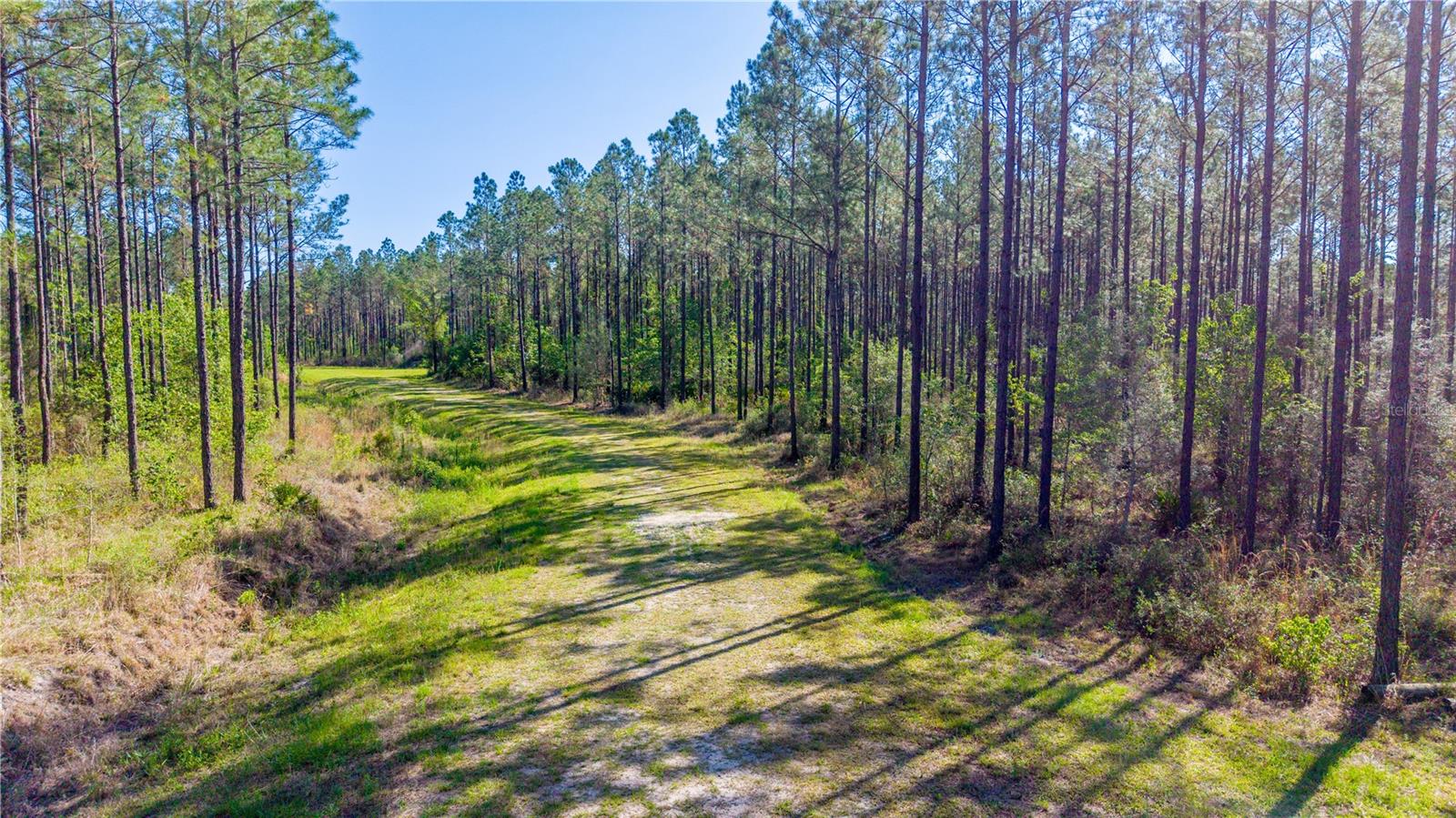 TBD NW 57TH LN, STARKE, FL, 32091