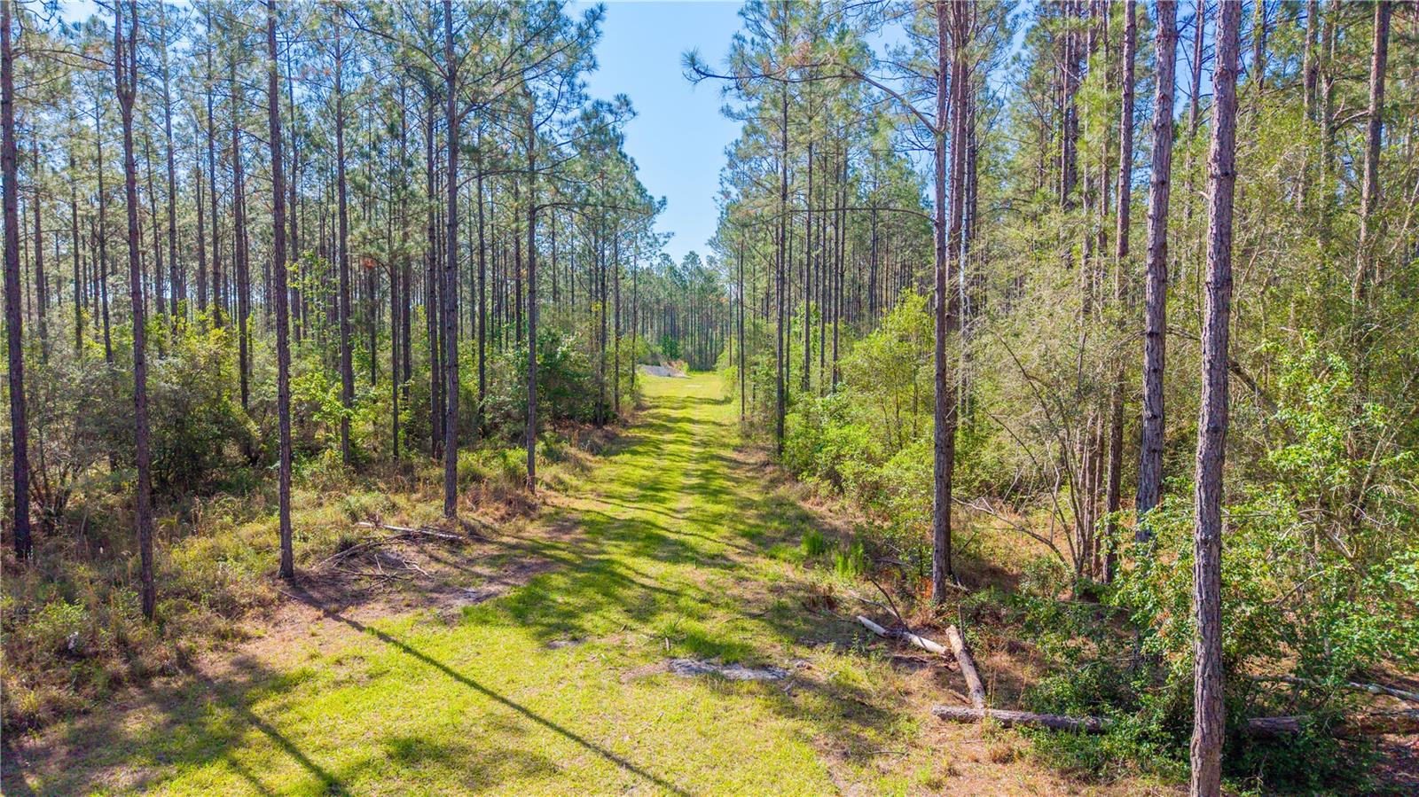 TBD NW 57TH LN, STARKE, FL, 32091