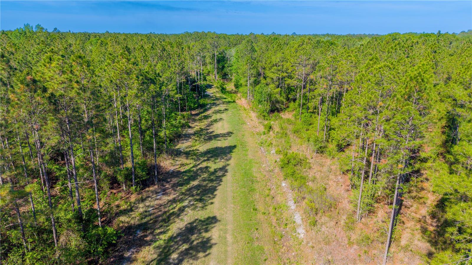 TBD NW 57TH LN, STARKE, FL, 32091