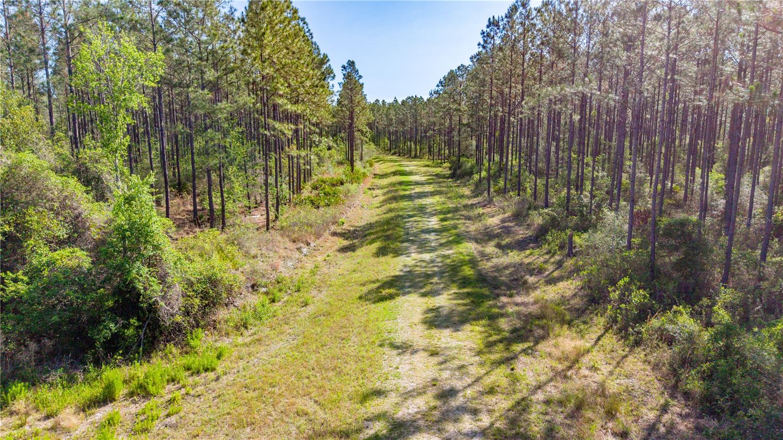 TBD NW 57TH LN, STARKE, FL, 32091