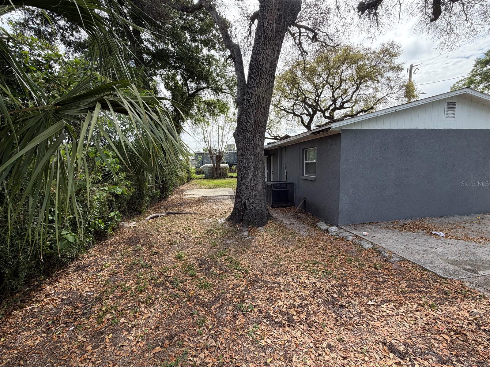 3916 E GENESEE ST, TAMPA, FL, 33610