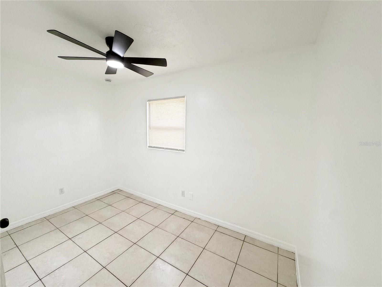 3916 E GENESEE ST, TAMPA, FL, 33610