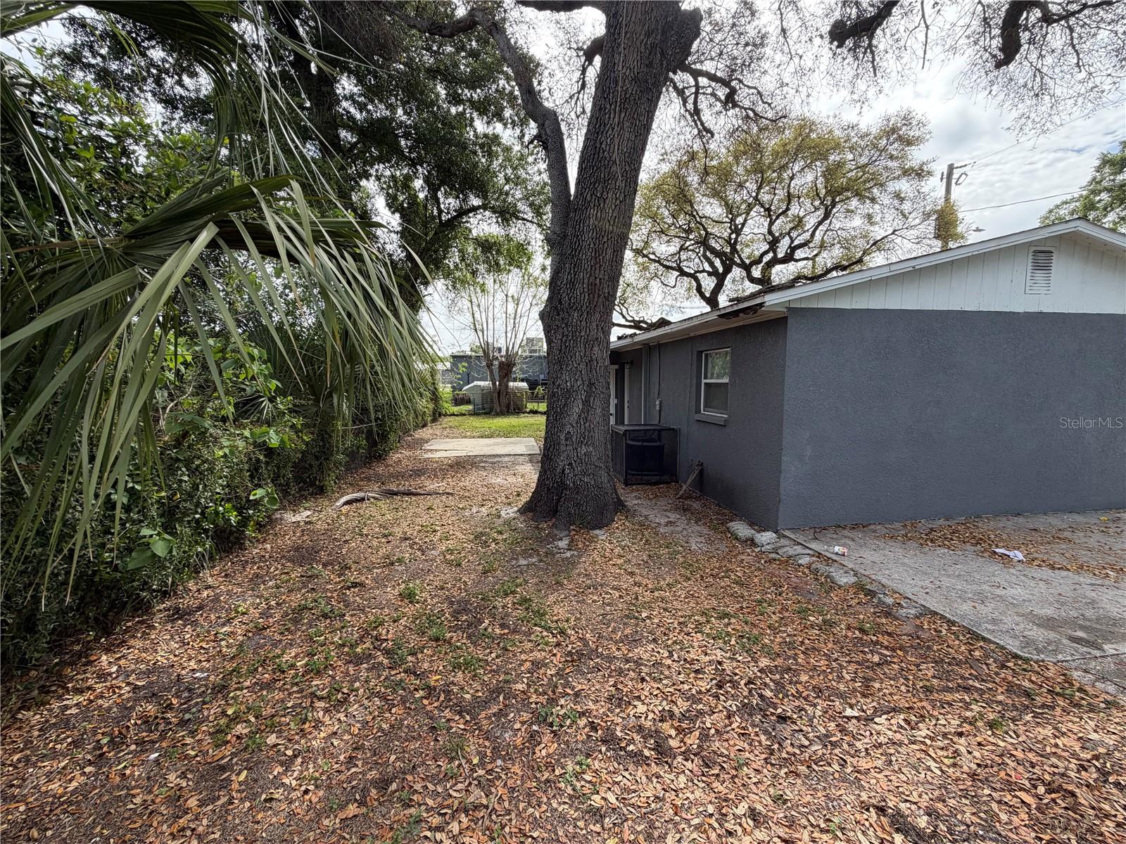 3916 E GENESEE ST, TAMPA, FL, 33610