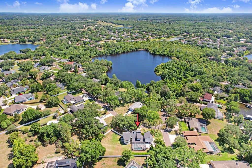15306 LAKE MAURINE DR, ODESSA, FL, 33556