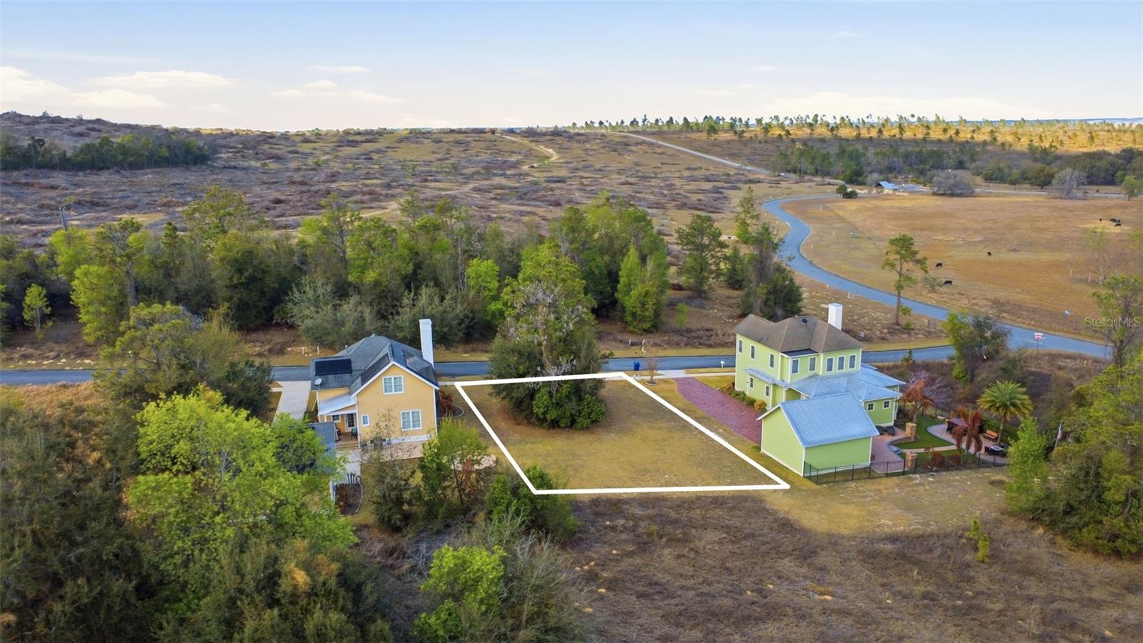 3516 HAYNES PASS, MINNEOLA, FL, 34715