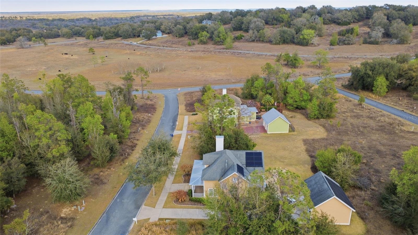 3516 HAYNES PASS, MINNEOLA, FL, 34715