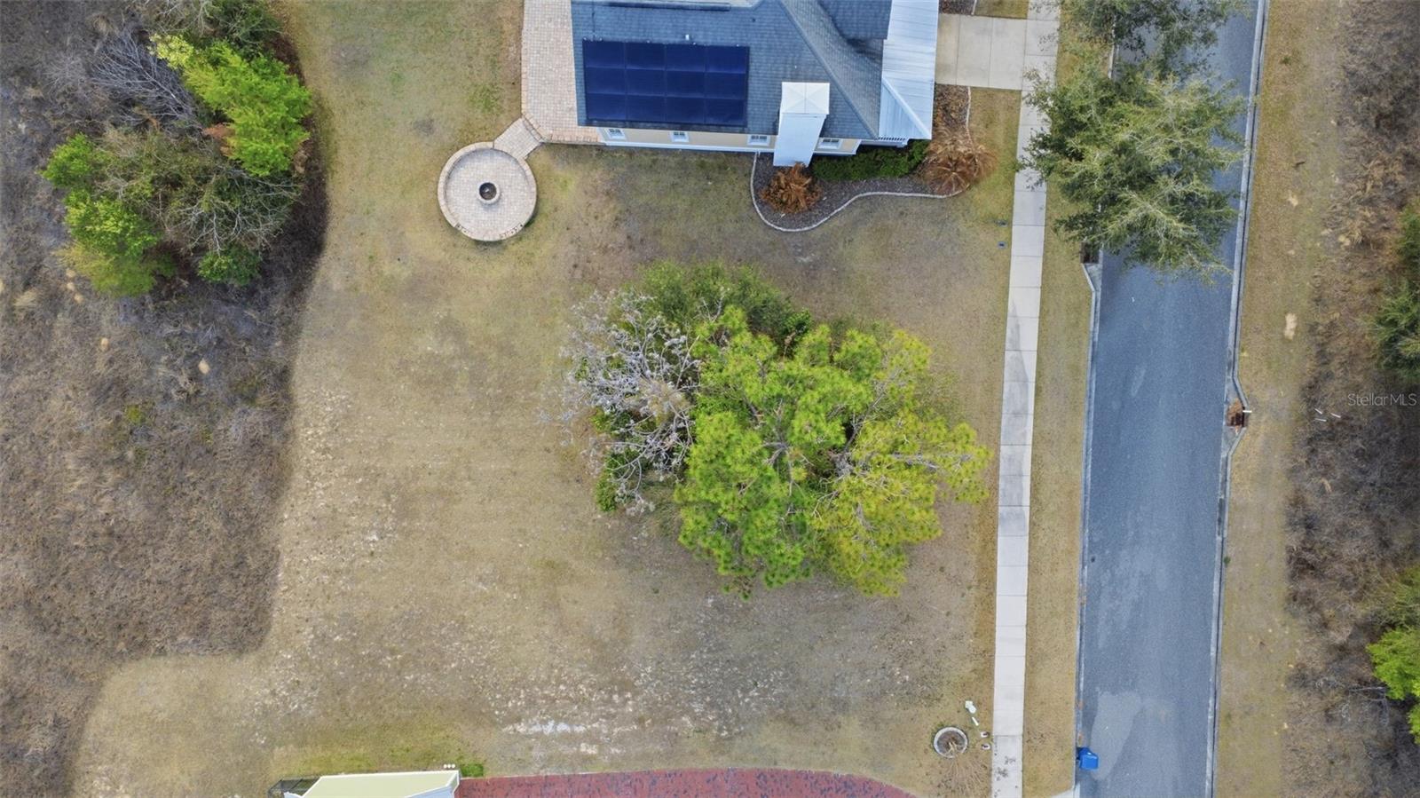 3516 HAYNES PASS, MINNEOLA, FL, 34715