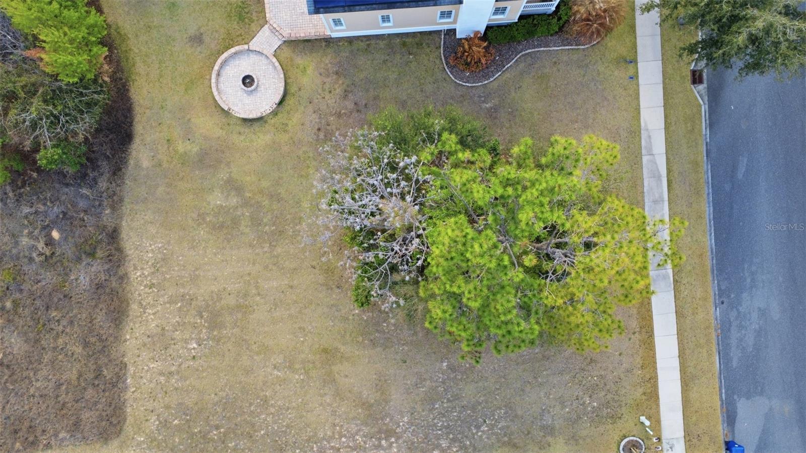 3516 HAYNES PASS, MINNEOLA, FL, 34715