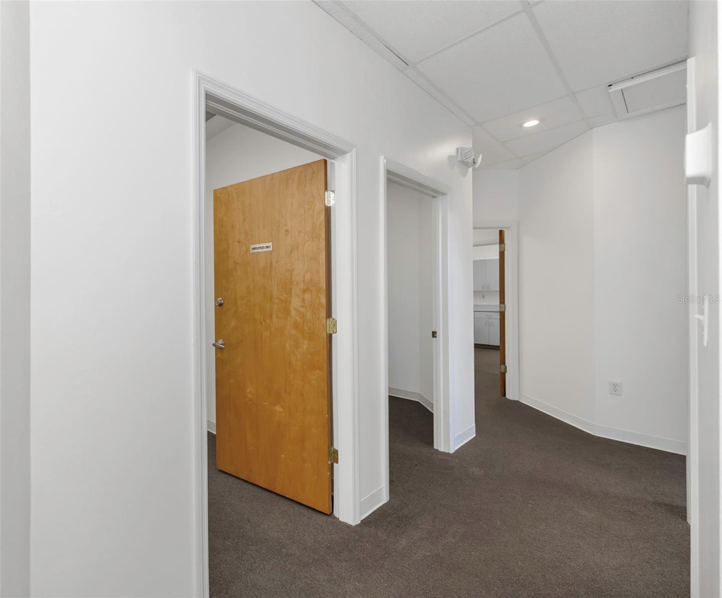 14517 BRUCE B DOWNS BLVD #301, TAMPA, FL, 33613