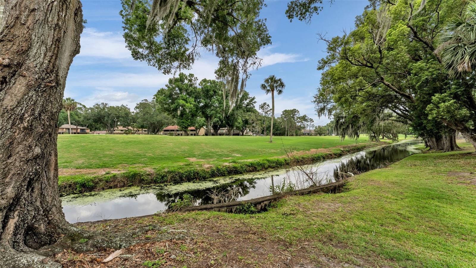 421 LONE PALM DR, LAKELAND, FL, 33815