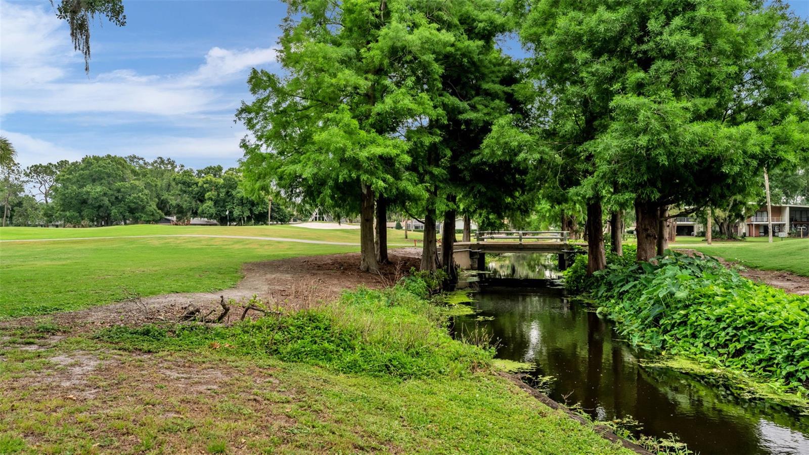421 LONE PALM DR, LAKELAND, FL, 33815