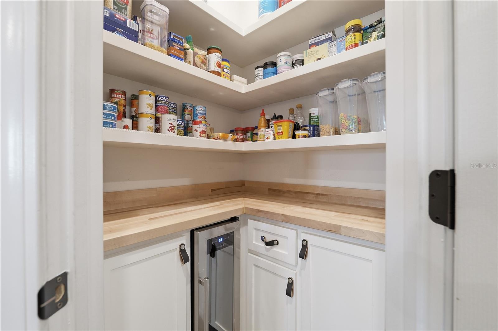 10831 GREEN HARVEST DR, RIVERVIEW, FL, 33578