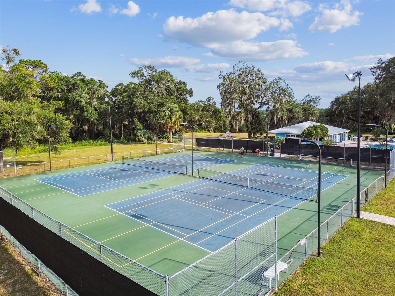 19015 SW 101ST PL, DUNNELLON, FL, 34432
