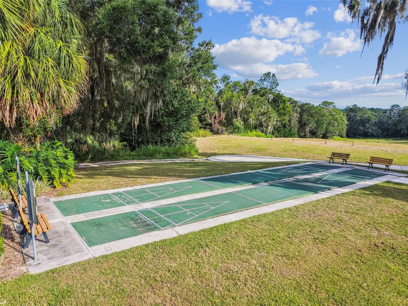 19015 SW 101ST PL, DUNNELLON, FL, 34432