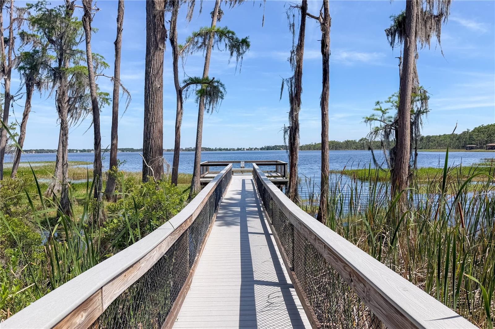 11617 CAMDEN PARK DR, WINDERMERE, FL, 34786