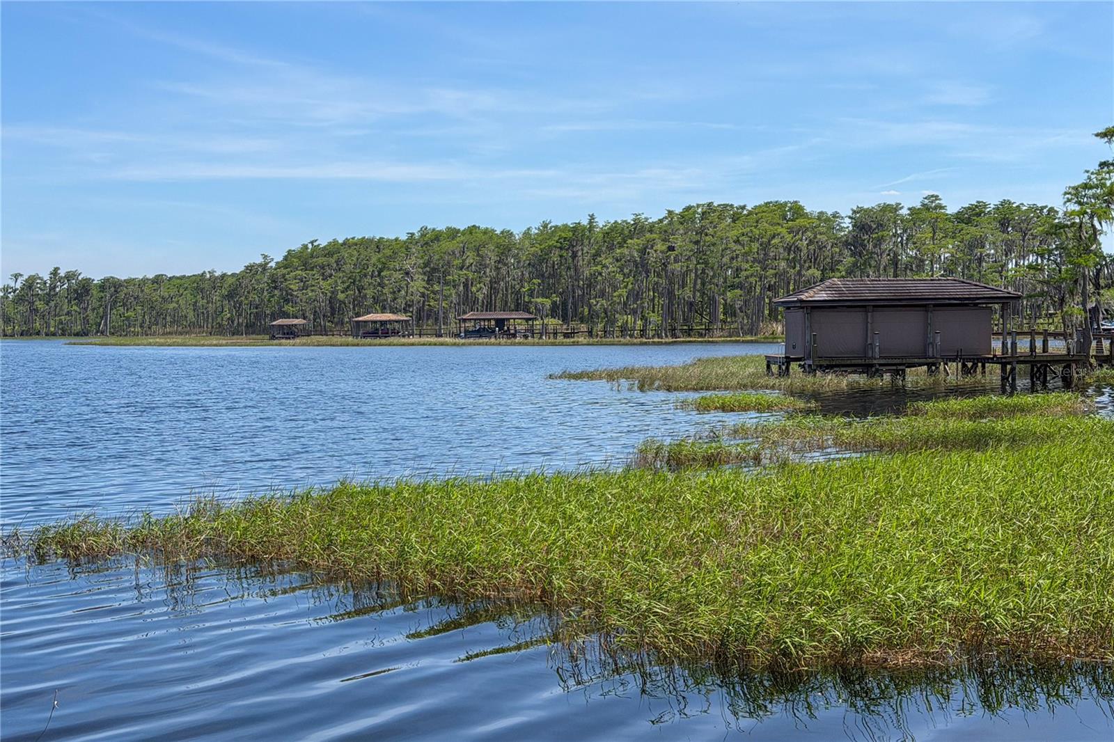 11617 CAMDEN PARK DR, WINDERMERE, FL, 34786