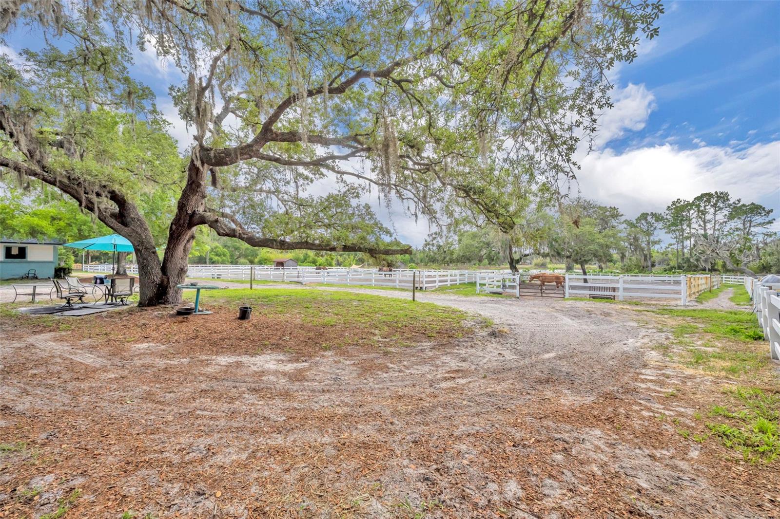 3287 N COUNTY ROAD 426, GENEVA, FL, 32732