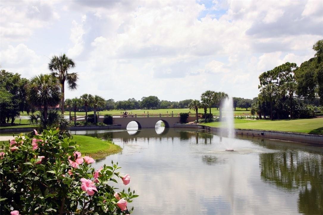 26301 AVENIDA LAS COLINAS, HOWEY IN THE HILLS, FL, 34737