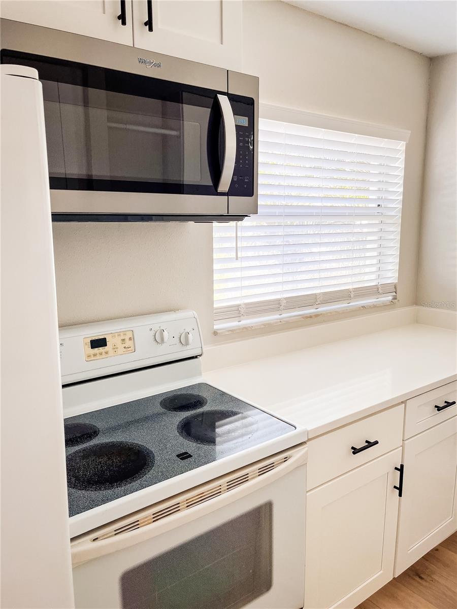 24862 US HIGHWAY 19 N #1602, CLEARWATER, FL, 33763