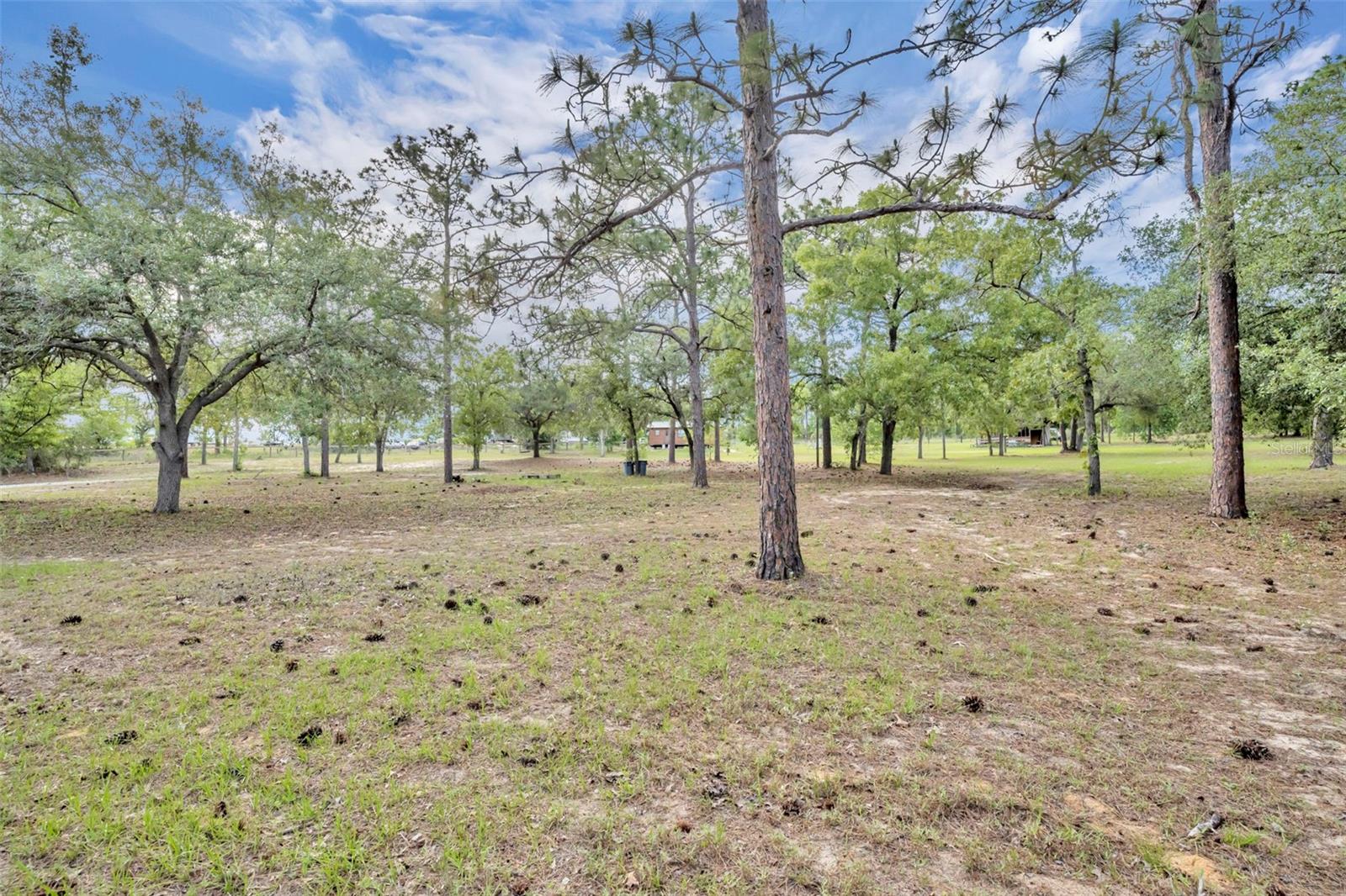 1717 W KELLY PARK RD, APOPKA, FL, 32712
