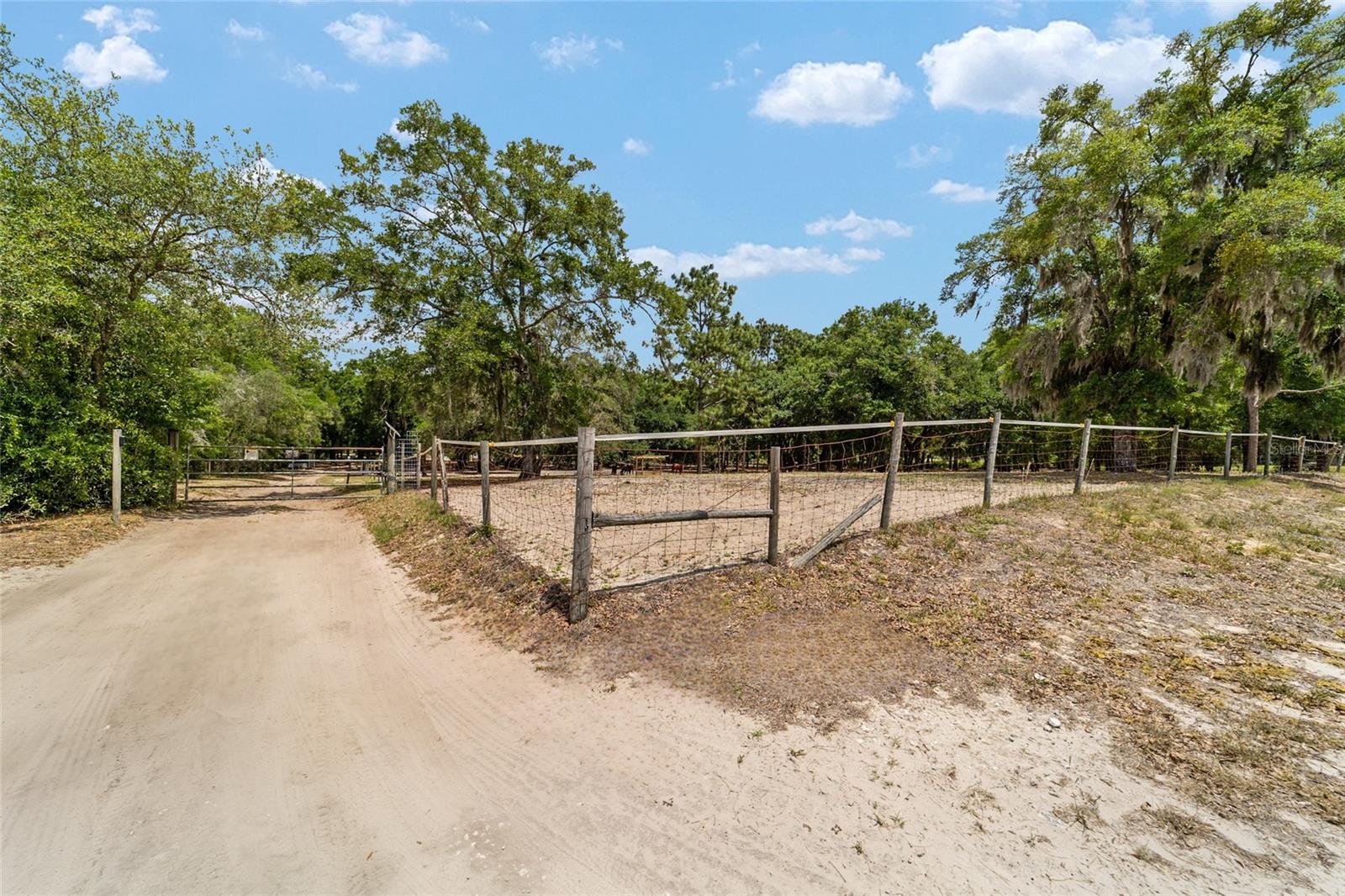 19551 SE 42ND PL, MORRISTON, FL, 32668