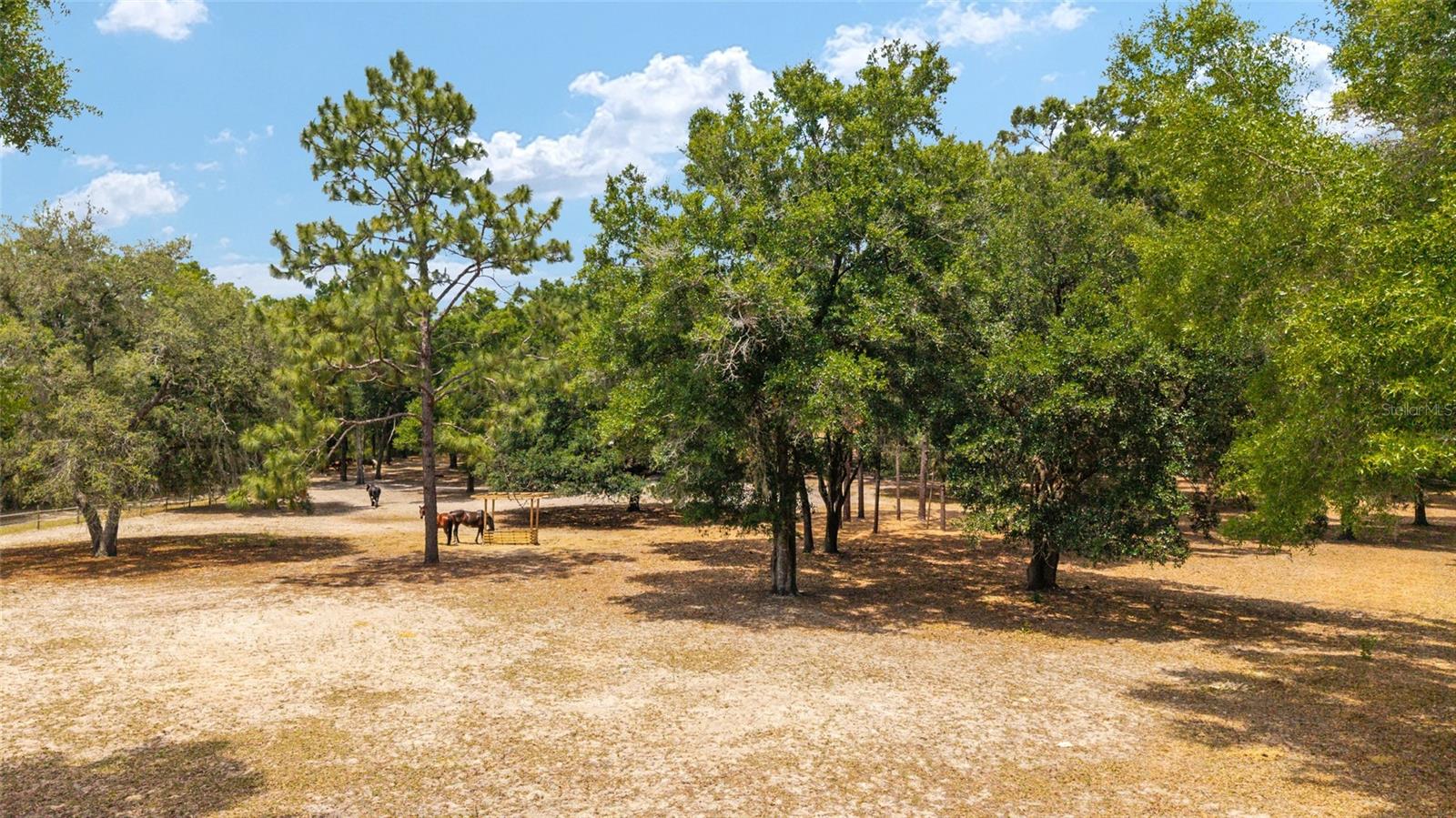 19551 SE 42ND PL, MORRISTON, FL, 32668