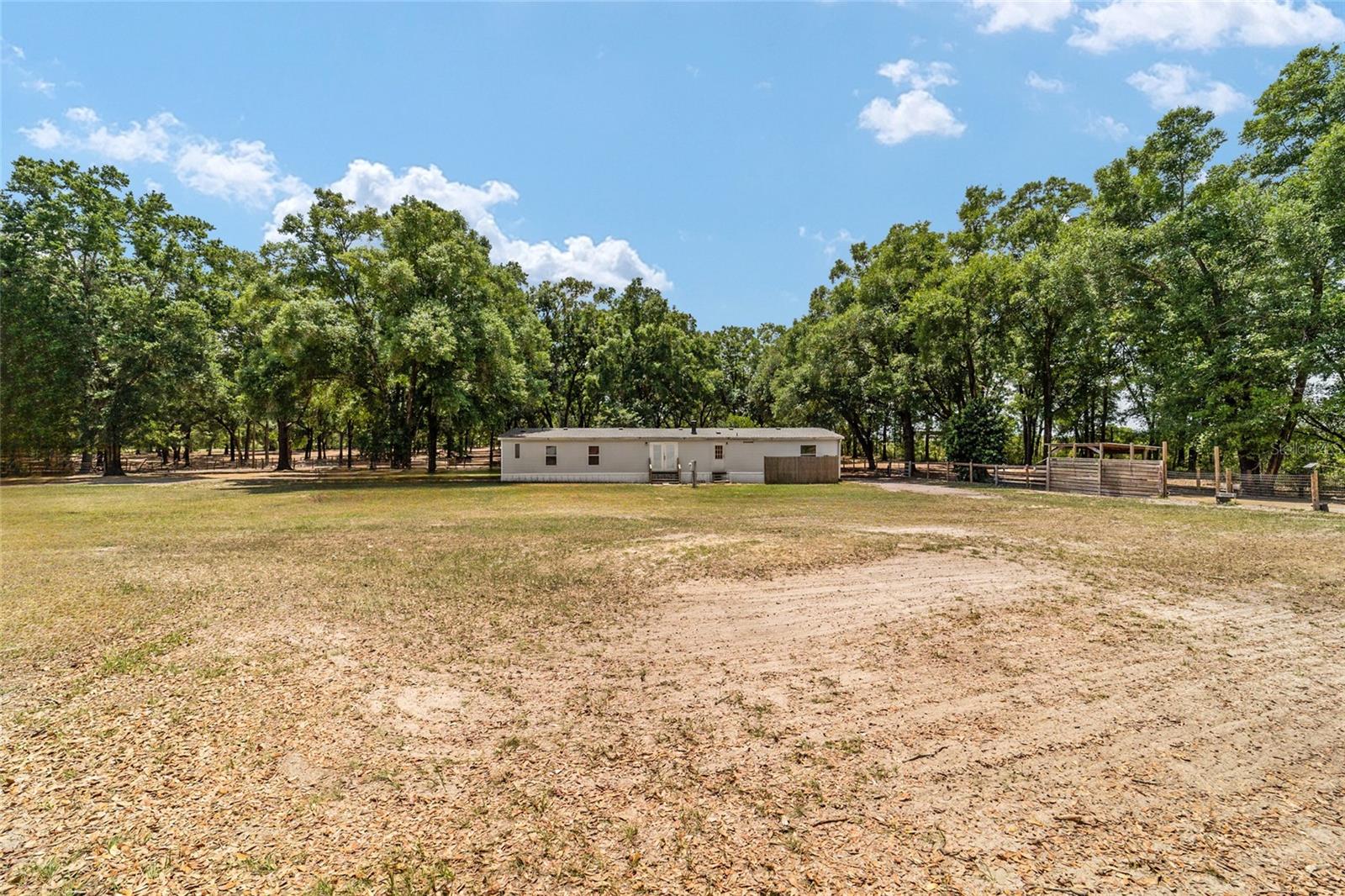 19551 SE 42ND PL, MORRISTON, FL, 32668