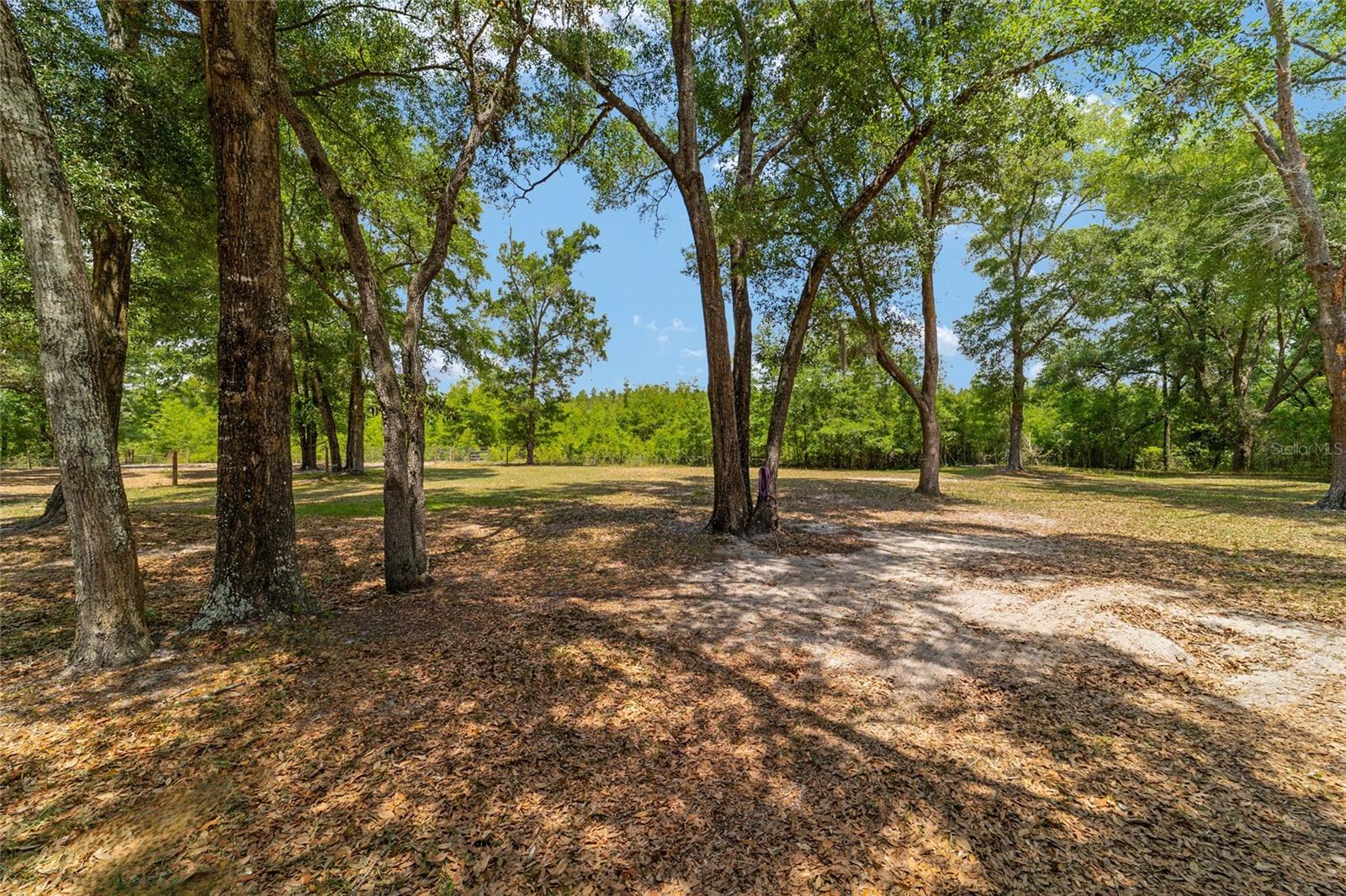 19551 SE 42ND PL, MORRISTON, FL, 32668