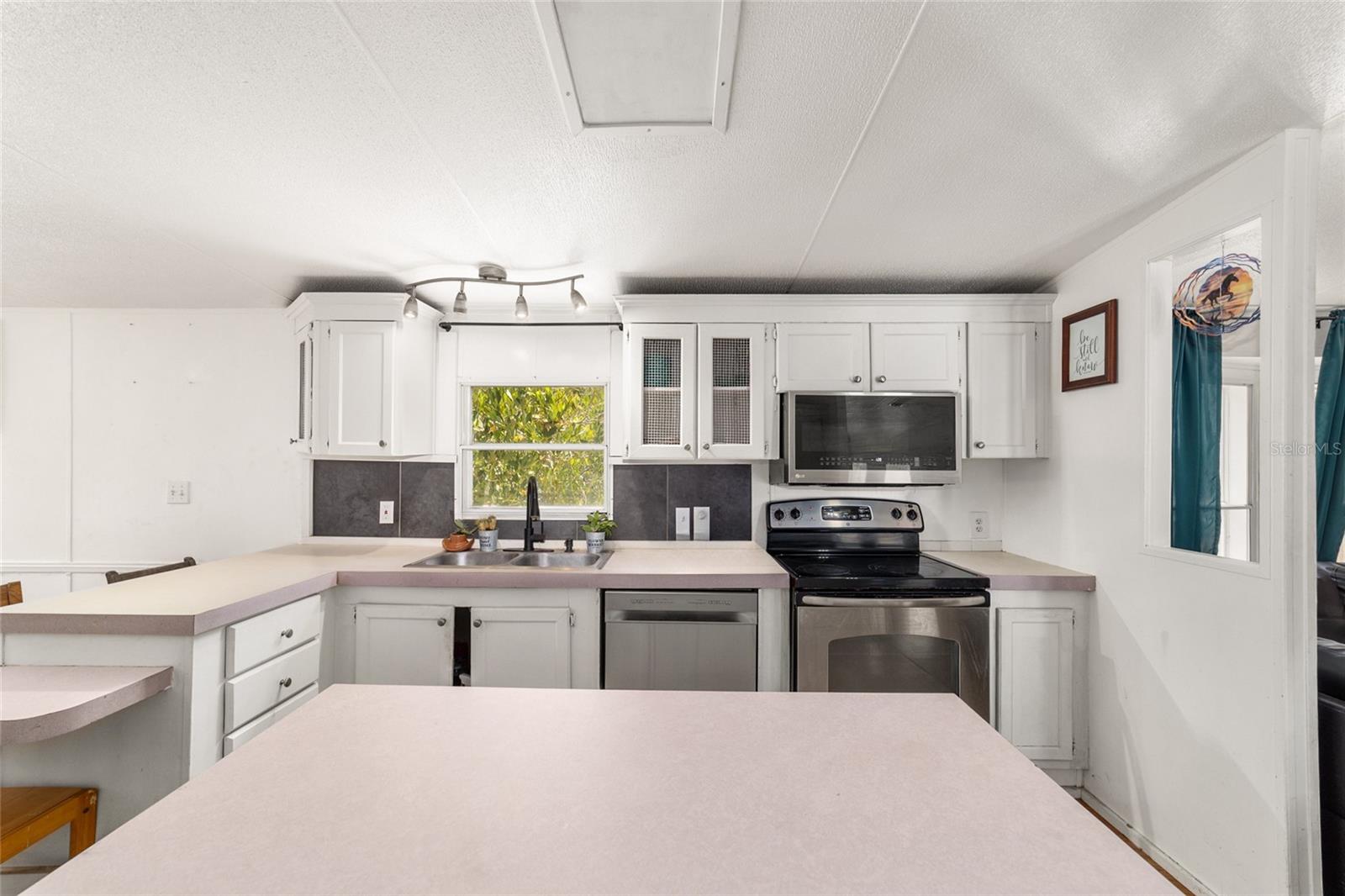 19551 SE 42ND PL, MORRISTON, FL, 32668