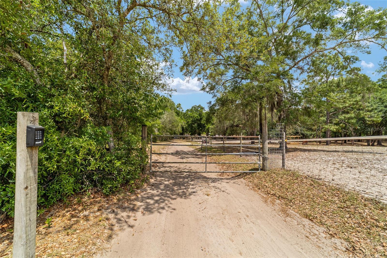 19551 SE 42ND PL, MORRISTON, FL, 32668