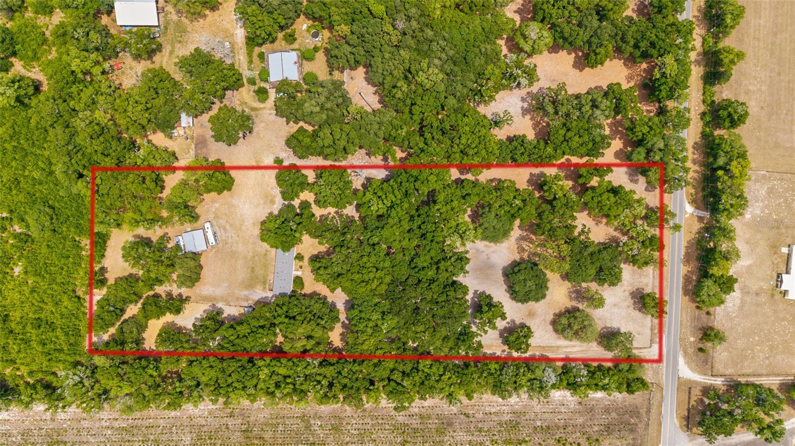 19551 SE 42ND PL, MORRISTON, FL, 32668