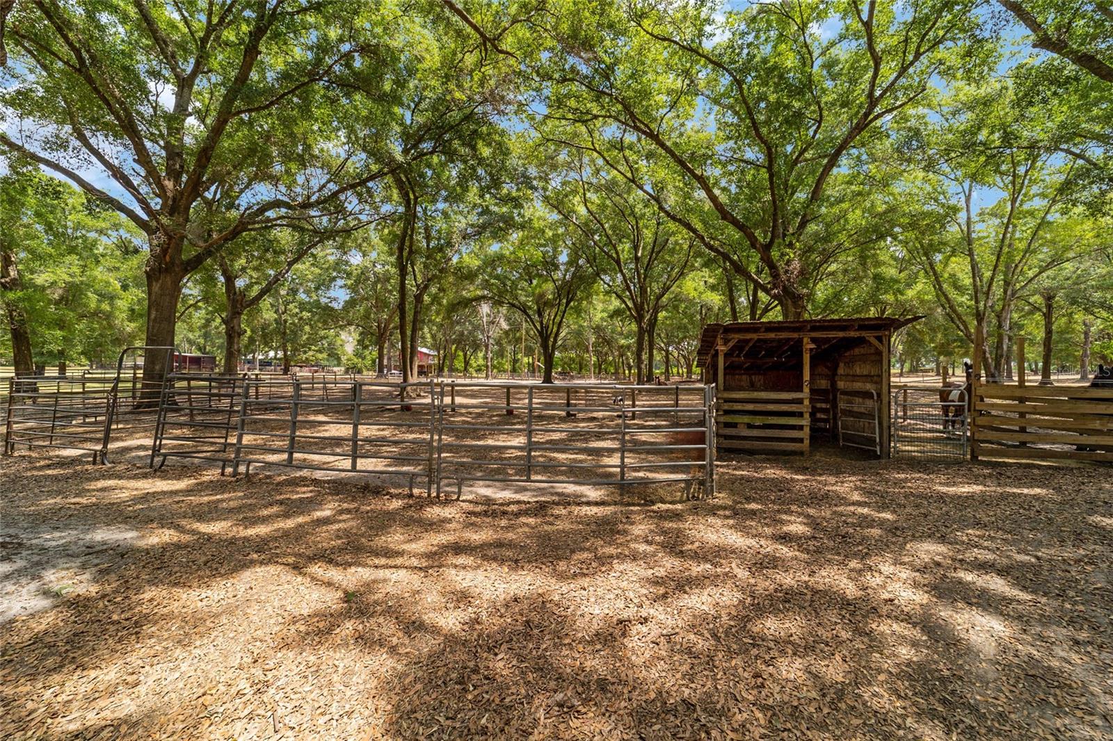 19551 SE 42ND PL, MORRISTON, FL, 32668
