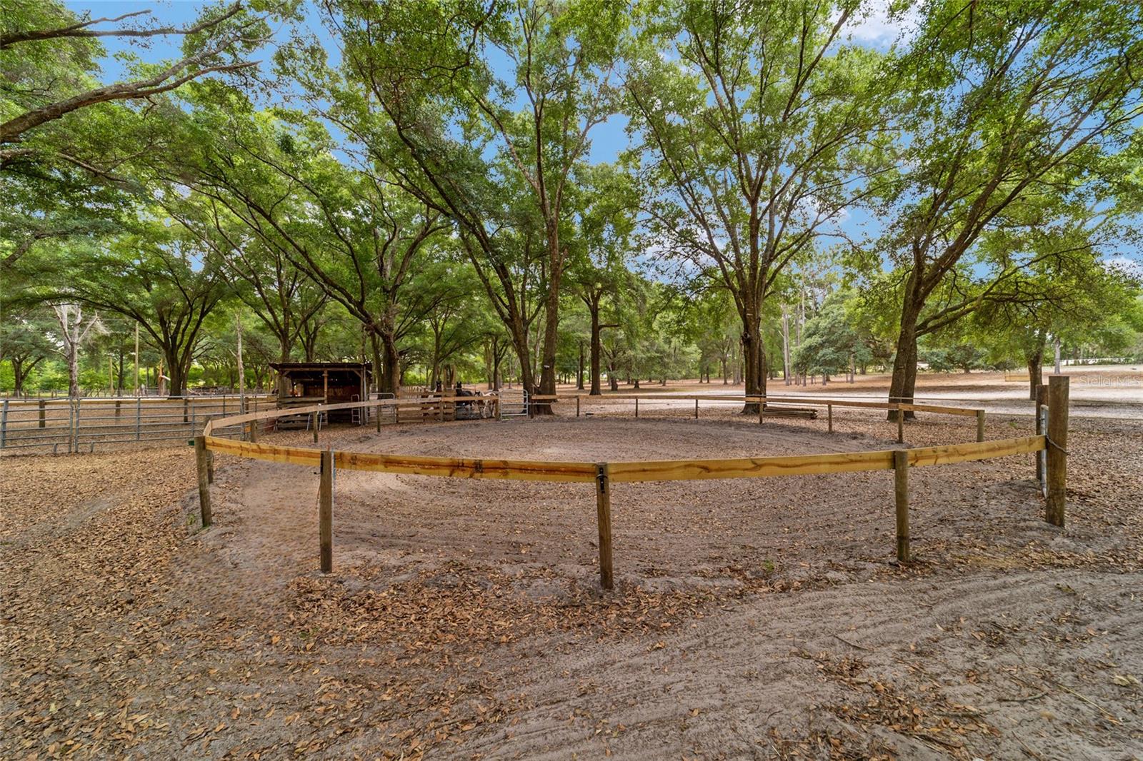 19551 SE 42ND PL, MORRISTON, FL, 32668